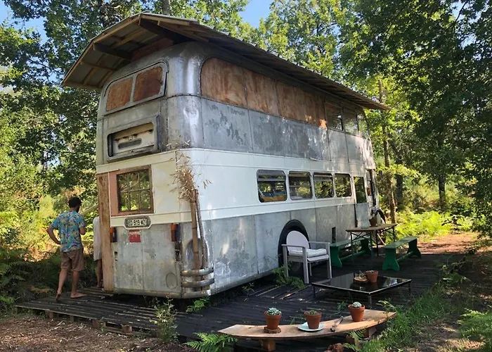 Cosmic English Bus 2 Floor