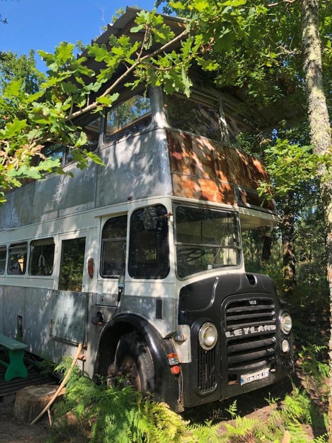 Cosmic Bus 2 Floor Mimizan
